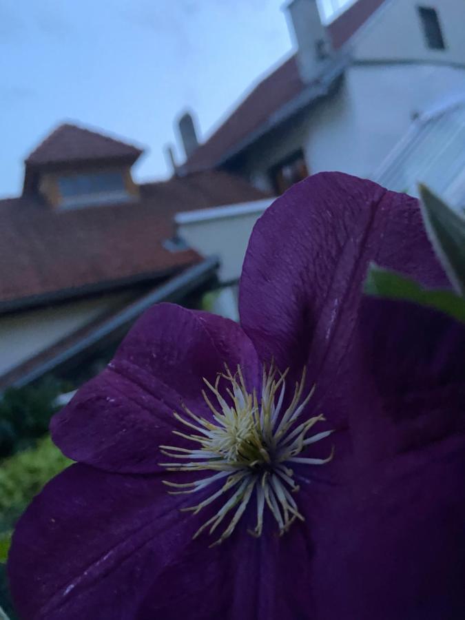 Gasthof Zum Mohrn Oberwoelz Stadt エクステリア 写真